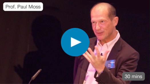 paul moss dekstop video